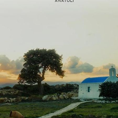Anatoli Ambelas Exterior foto